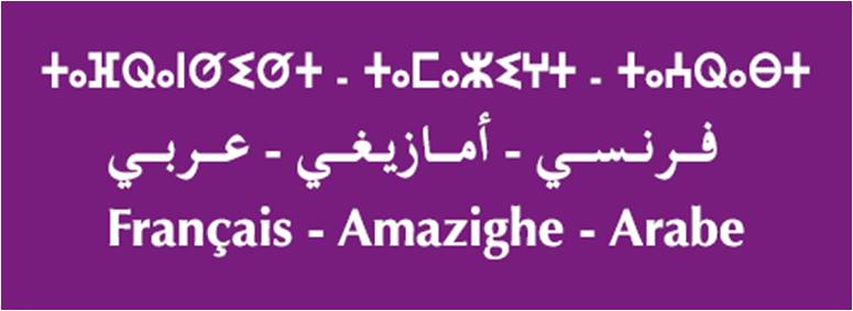 4 dictionnaires de tamazight